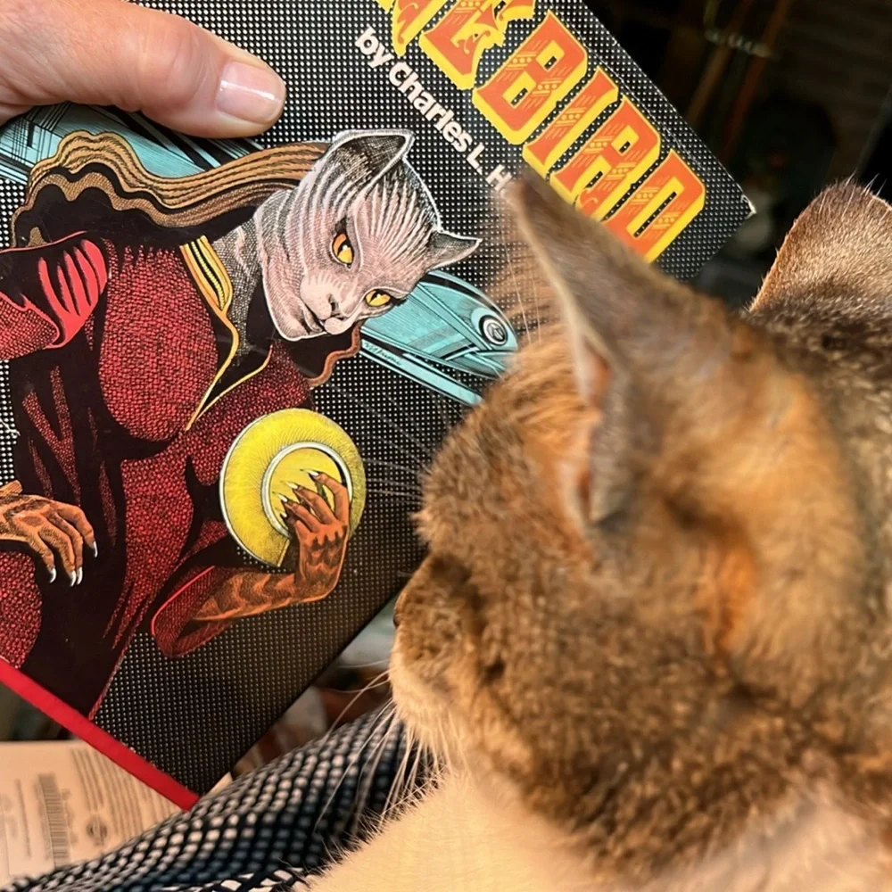 FIREBIRD by Charles L Harness vintage sci-fi hardcover 1981 cat alien cover art